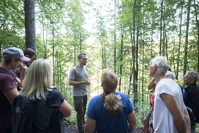 Waldführung in Bischofshofen (c) ÖBf/W. Lienbacher