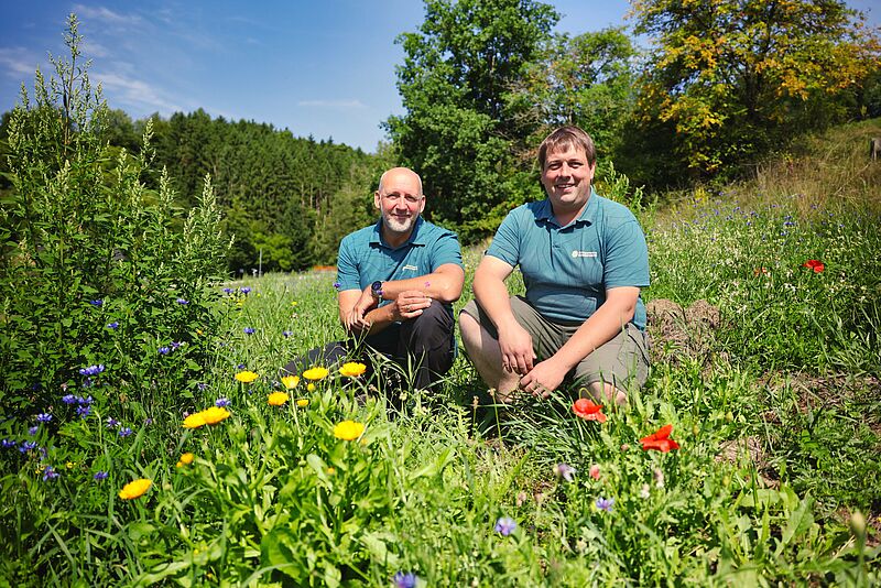 v.l. Bernhard Funcke (ÖBf-Betriebsleiter Waldviertel-Voralpen) und Marian Riedler (Leiter ÖBf-Forstrevier Münichreith) im ÖBf-Forstrevier Münichreith (c) oebf/Florian Platter v.l. Bernhard Funcke (ÖBf-Betriebsleiter Waldviertel-Voralpen) und Marian Riedler (Leiter ÖBf-Forstrevier Münichreith) im ÖBf-Forstrevier Münichreith (c) oebf/Florian Platter