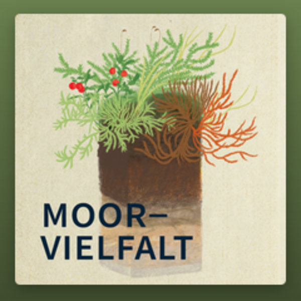 Neue Podcast-Reihe „Moorvielfalt“ der Universität Wien