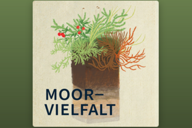 Neue Podcast-Reihe „Moorvielfalt“ der Universität Wien