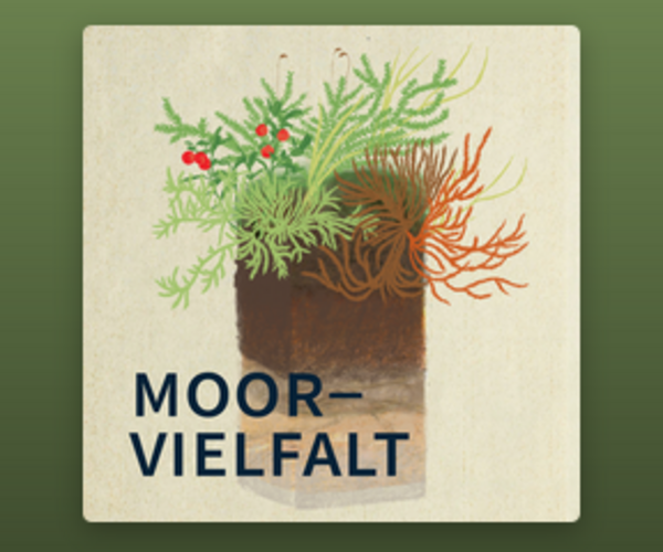 Neue Podcast-Reihe „Moorvielfalt“ der Universität Wien
