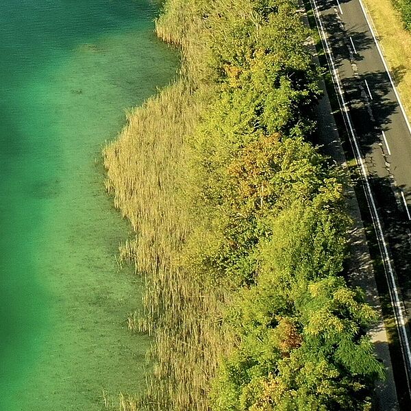 Bundesforste kaufen Naturufergrundstück am Wörthersee an