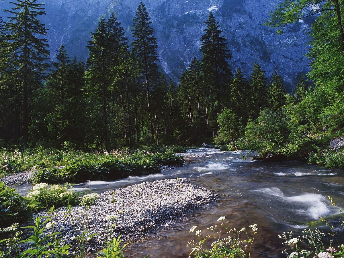 Bluntautal (c) ÖBf/F. Pritz Bluntautal (c) ÖBf/F. Pritz