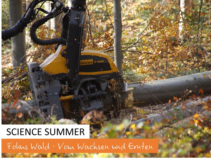 Titelseite Schience Summer Fokus Wald, Foto: Harvester im Einsatz