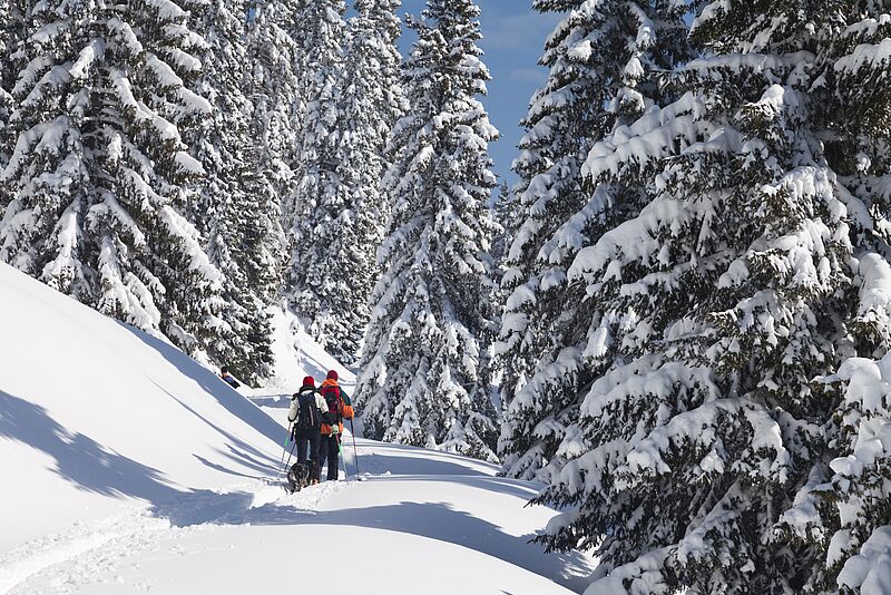 Tourengeher auf der Gemeindealpe, Niederösterreich (c) ÖBf/U. Grinzinger