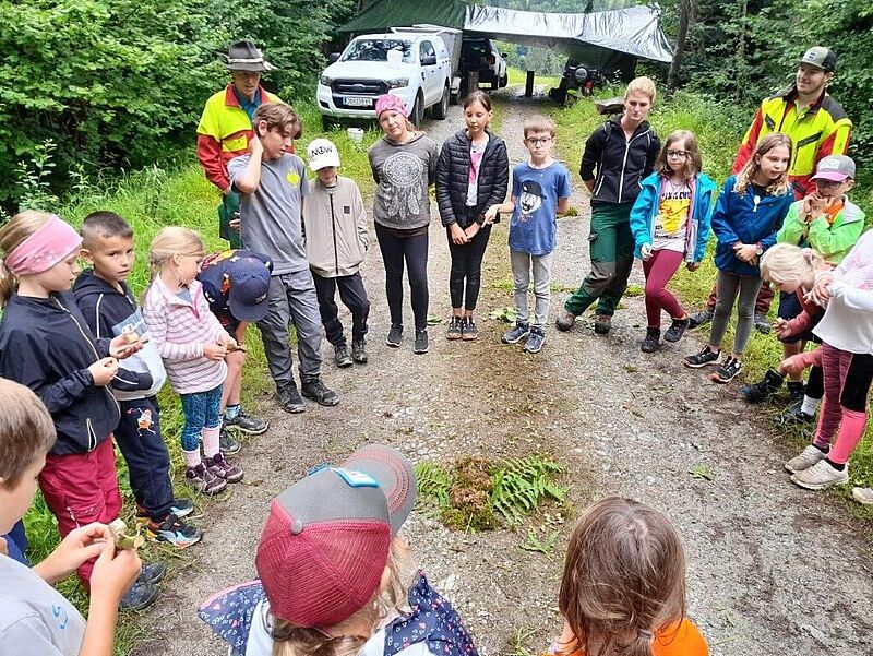 Auf spielerische Weise vermittelten die ÖBf-Experten Wissen rund ums Thema Wald (c) ÖBf