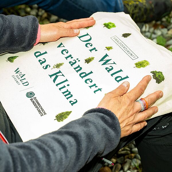 Das waren unsere Wald der Zukunft Führungen 2026