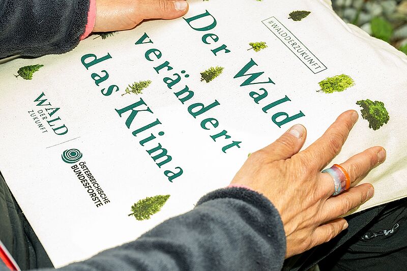Das waren unsere Wald der Zukunft Führungen 2026 Das waren unsere Wald der Zukunft Führungen 2026