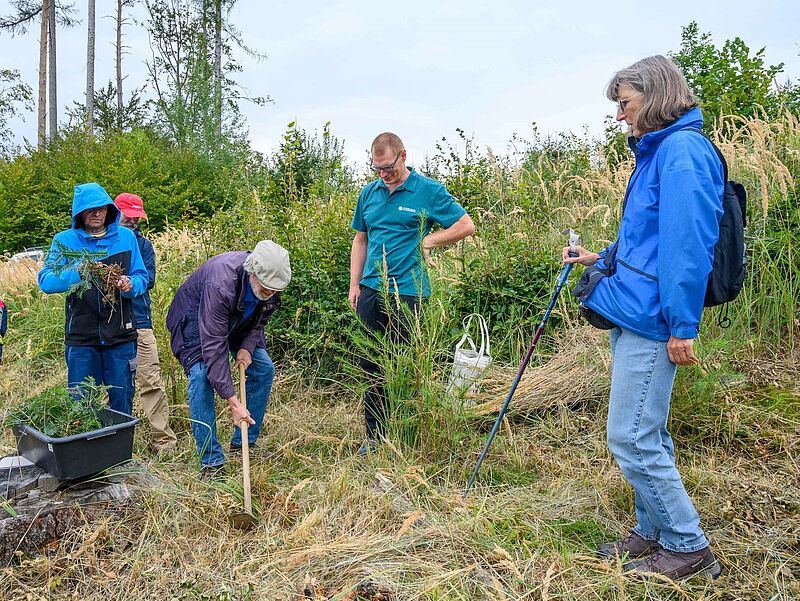 Gemeinsames Pflanzen junger Tannen bei der Waldführung auf dem Damberg bei St. Ulrich (c) ÖBf/W. Simlinger