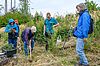 Gemeinsames Pflanzen junger Tannen bei der Waldführung auf dem Damberg bei St. Ulrich (c) ÖBf/W. Simlinger