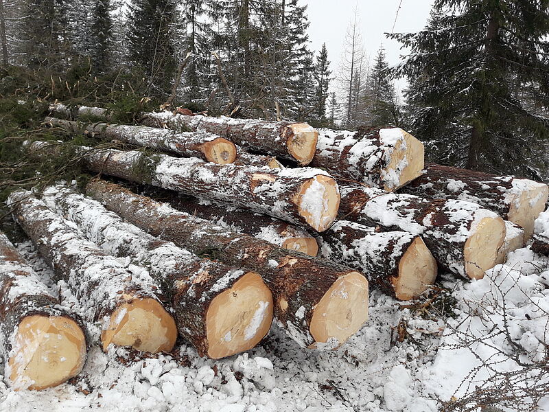 Holzbloche