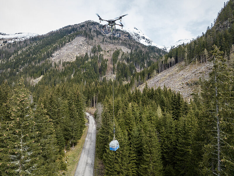 Lastendrohne transportiert junge Baumsetzlinge in steile, entlegene Schutzwaldgebiete (c) ÖBf/G. Perauer
