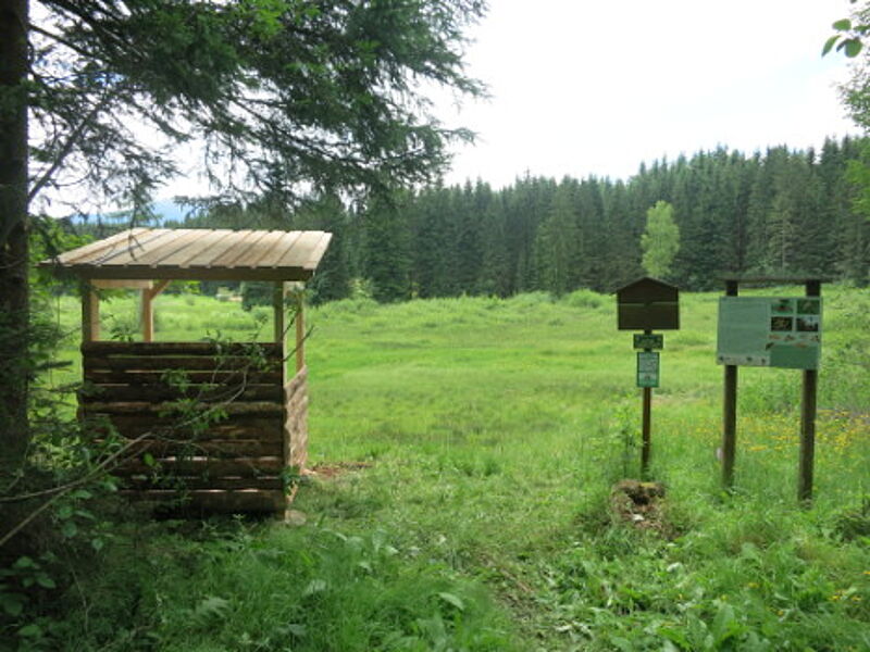 Ein Info-Point ist ein aus Holz gebauter Aussichtspunkt, der auf kleinen Hügeln steht. Dazu sind Info-Tafel angebracht. Diese informieren über in der Umgebung vorkommende Pflanzen- und Tierarten.