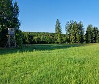 Forstbetrieb Waldviertel-Voralpen, JR Aschelberg III Nord
