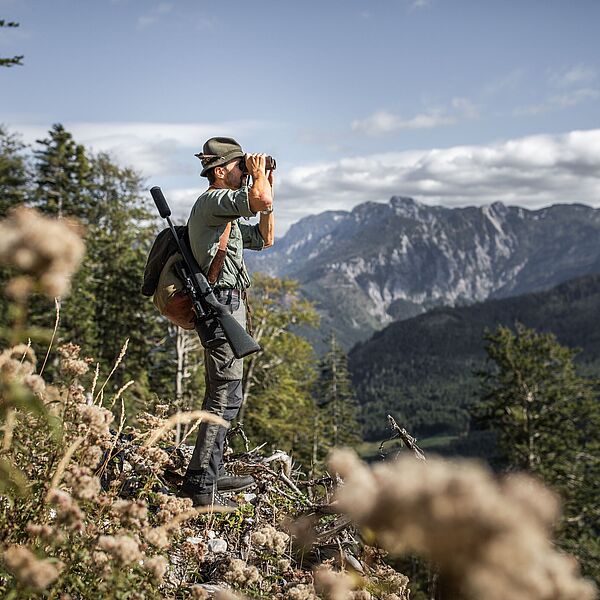 Wald der Zukunft braucht professionelles Jagdmanagement 