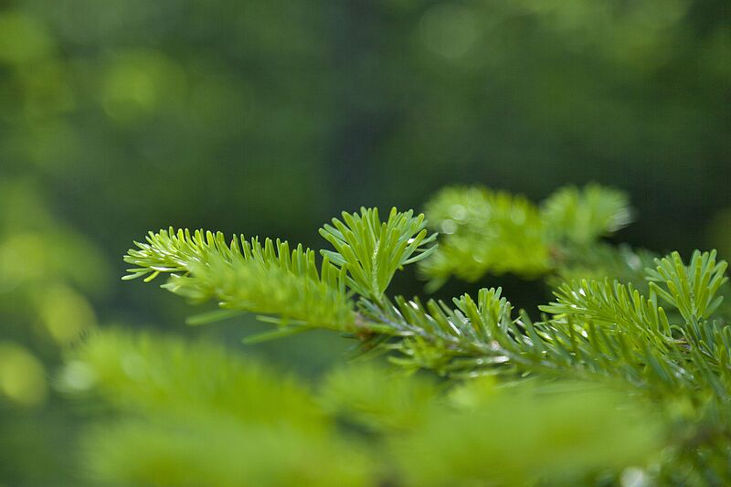 Neues Natur.Raum.Management-Journal online