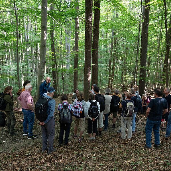Bundesforste laden im Jubiläumsjahr zu kostenlosen Führungen in den Wald der Zukunft