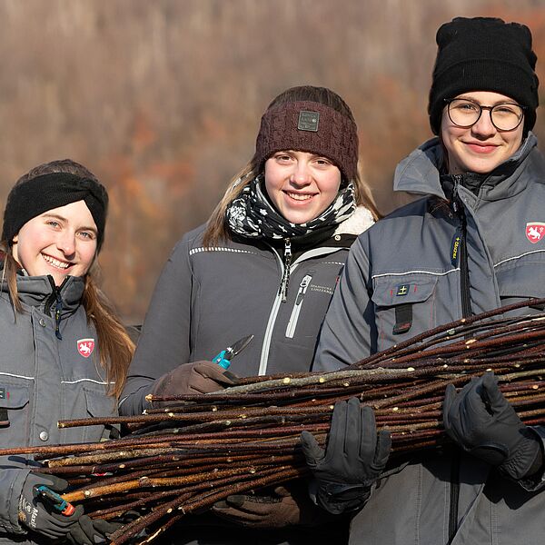 Besonderer Ernteeinsatz in Bundesforste-Wäldern: Birkengerten-Schnitt für Spanische Hofreitschule