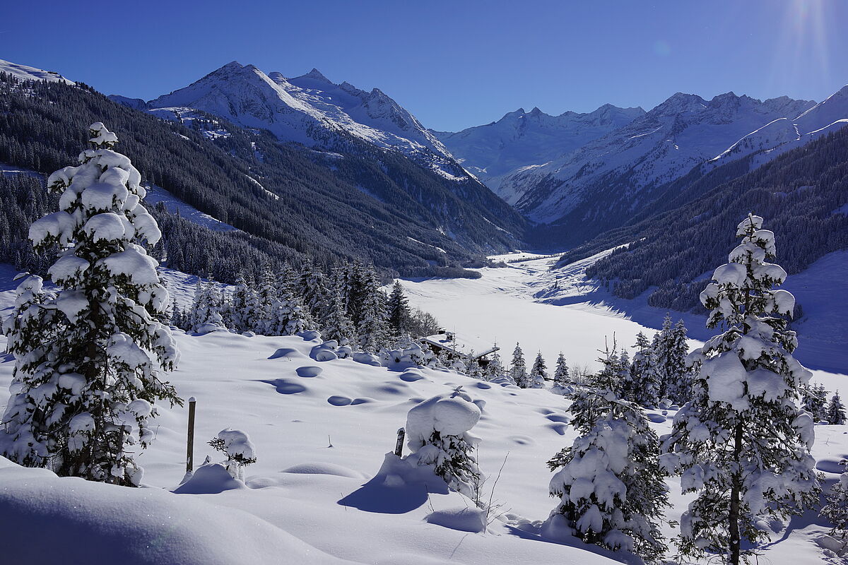 Hinteres Zillertal im Winter (c) ÖBf-Archiv Hinteres Zillertal im Winter (c) ÖBf-Archiv