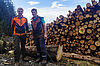 BaySF-Lehrlinge im ÖBf-Forstrevier Bruck (c) ÖBf