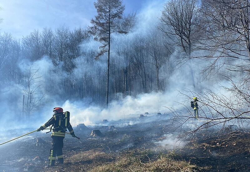 Freiwillige Feuerwehr beim Waldbrand-Einsatz (c) FF Mauerbach Freiwillige Feuerwehr beim Waldbrand-Einsatz (c) FF Mauerbach