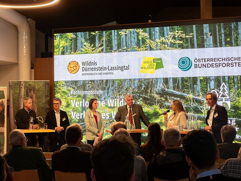v.l.: Andreas Gruber (ÖBf-Vorstand), Peter Mayer (Leiter Bundesforschungszentrum für Wald), Christina Laßnig-Wlad (ÖBf - Leiterin Naturraummanagement), Johannes Schima (BML - Abteilungsleiter Waldschutz, Waldentwicklung und forstliche Förderung), Antje Güttler (Leiterin ÖBf-Forstbetrieb Kärnten-Lungau), Georg Gratzer (Universitätsprofessor, BOKU Wien) © Laura Renner