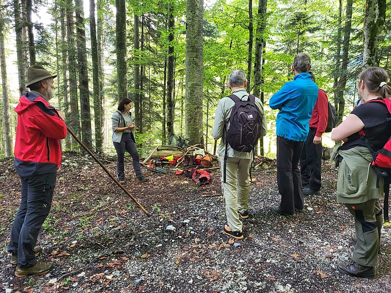 Waldführung in Rosenau (c) ÖBf