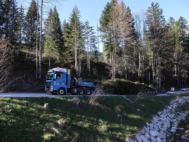 Christbaumtransport (c) ÖBf/T. Kranabitl Christbaumtransport (c) ÖBf/T. Kranabitl