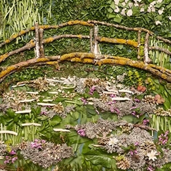 WALD Kalender März 2024