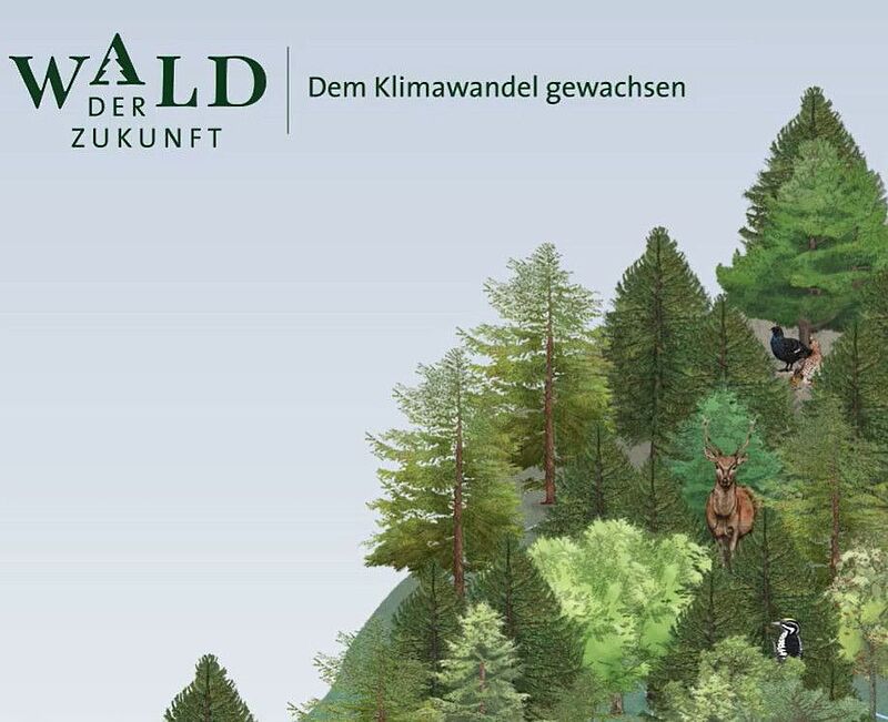 Kommen Sie mit uns in den Wald der Zukunft! www.wald-der-zukunft.at