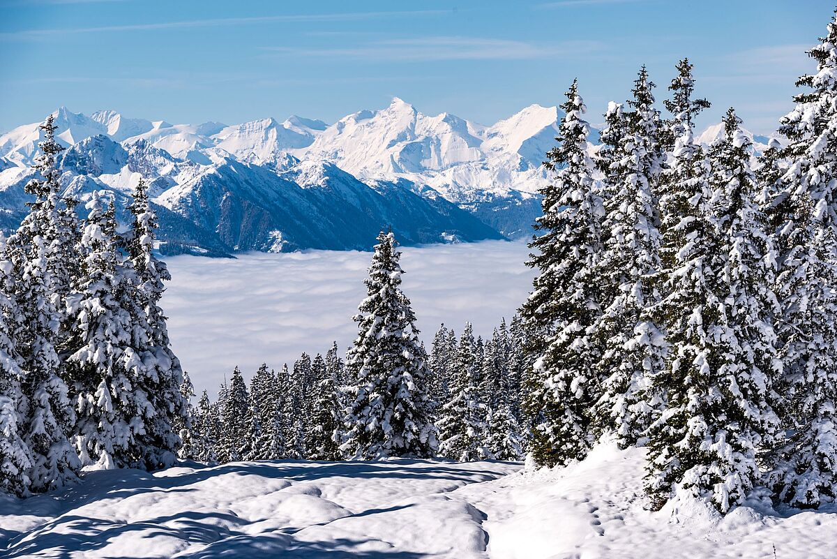 Winterlandschaft Rossbrand, Forstrevier Radstadt (c) ÖBf-Archiv/W. Simlinger Winterlandschaft Rossbrand, Forstrevier Radstadt (c) ÖBf-Archiv/W. Simlinger