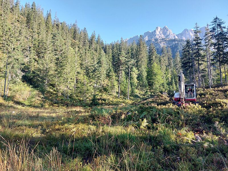 Umweltbaustelle im Hahnbodenmoor (c) ÖBf/V. Baumgartner Umweltbaustelle im Hahnbodenmoor (c) ÖBf/V. Baumgartner