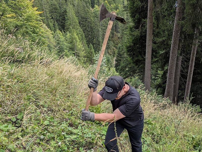 Freiwillige der Initiative „Bäume für morgen“ beim Pflanzen der Jungbäume (c) oebf Freiwillige der Initiative „Bäume für morgen“ beim Pflanzen der Jungbäume (c) oebf
