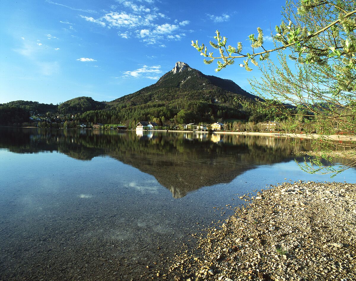 Fuschlsee (c) ÖBf/F. Pritz Fuschlsee (c) ÖBf/F. Pritz