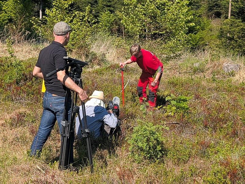 ORF-Dreharbeiten im Kobernaußerwald (c) ÖBf