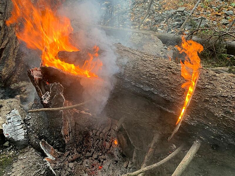 Glutnester auf Waldbrandfläche (c) ÖBf/W. Riener Glutnester auf Waldbrandfläche (c) ÖBf/W. Riener