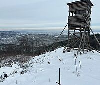 FB Wienerwald - Abschussvertrag Aninnger Ost