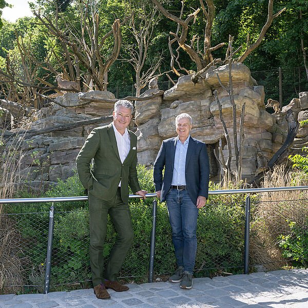 Berberaffen erkunden neue Kletterbäume im Tiergarten Schönbrunn