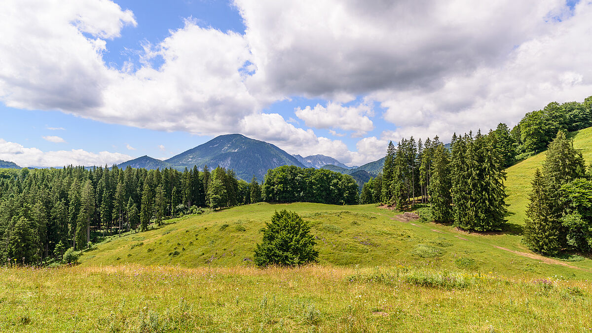Alm im Nationalpark Kalkalpen © ÖBf/Wolfgang Simlinger