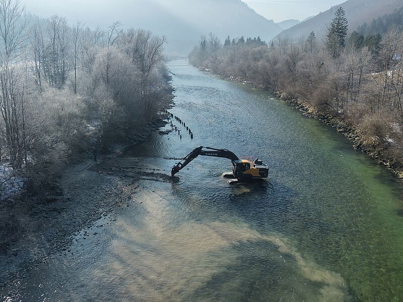 Revitalisierung von Laichplätzen an der Traun (c) Heimo Huber