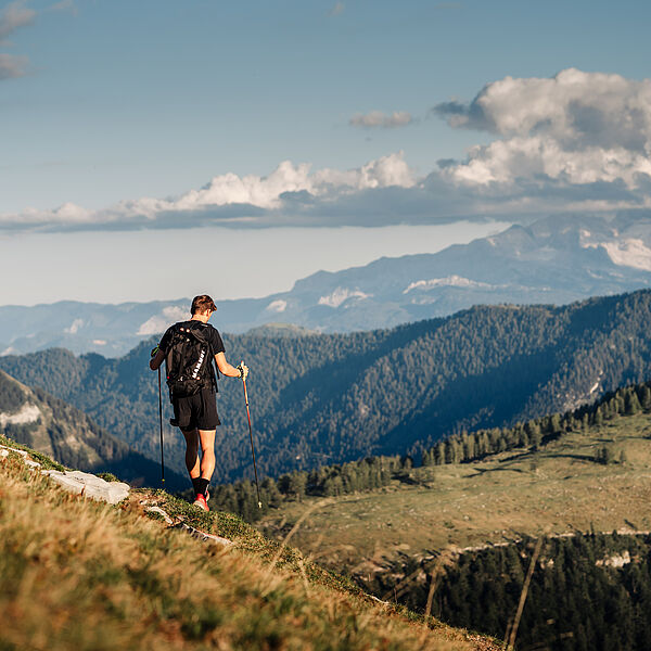 Fair unterwegs im Frühlingswald: Gemeinsamer Appell zum Start in die Outdoor-Saison