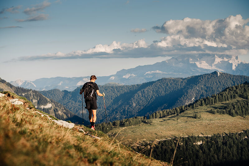 Fair unterwegs im Frühlingswald: Gemeinsamer Appell zum Start in die Outdoor-Saison