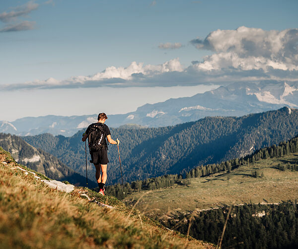 Fair unterwegs im Frühlingswald: Gemeinsamer Appell zum Start in die Outdoor-Saison