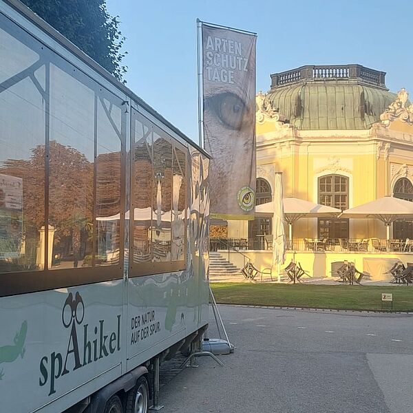 Spähikel bei den Artenschutztagen im Tiergarten Schönbrunn