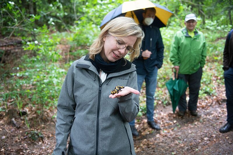 Klimaschutzministerin Leonore Gewessler mit Feuersalamander im Wienerwald (c) ÖBf-Archiv/F. Helmrich