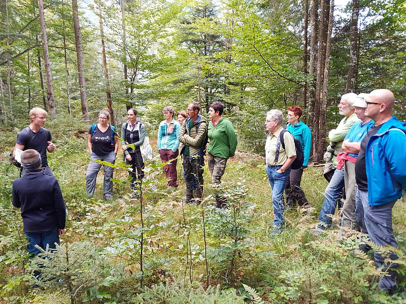 Waldführung in Brandenberg (c) ÖBf