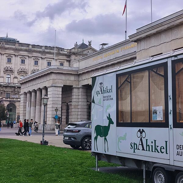 ernte.dank.festival. Das Festival für Stadt & Land