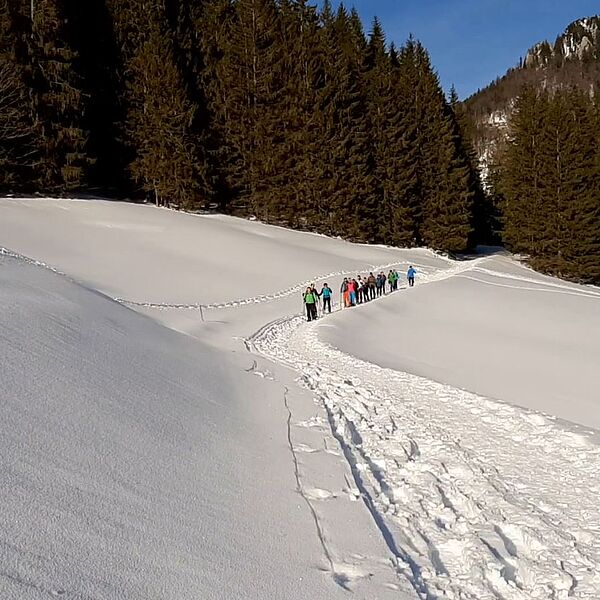 Schneeschuhwanderung im Nationalpark Kalkalpen (VIDEO)