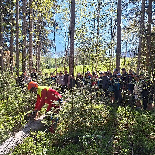 Salzburger Waldchampions zu Gast in Saalfelden