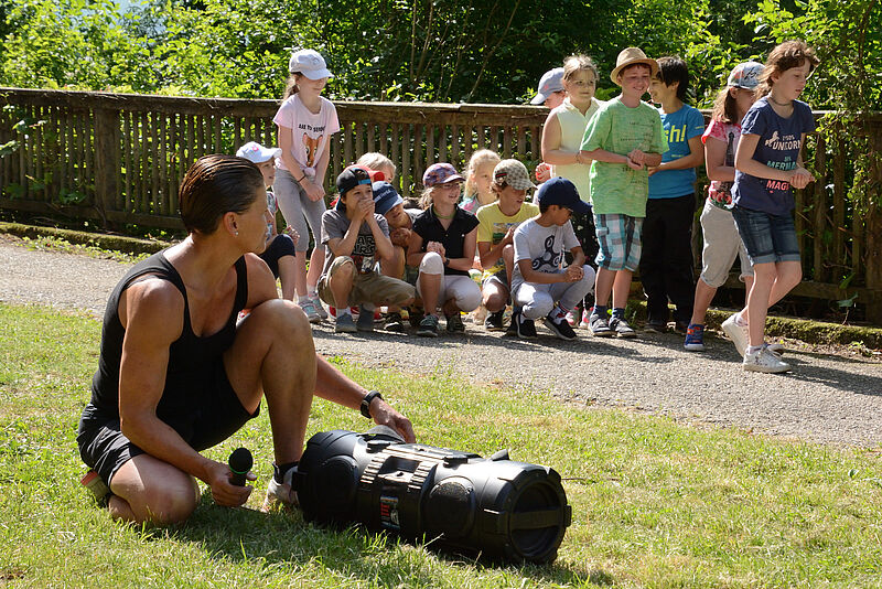 VS St. Andrä-Wördern